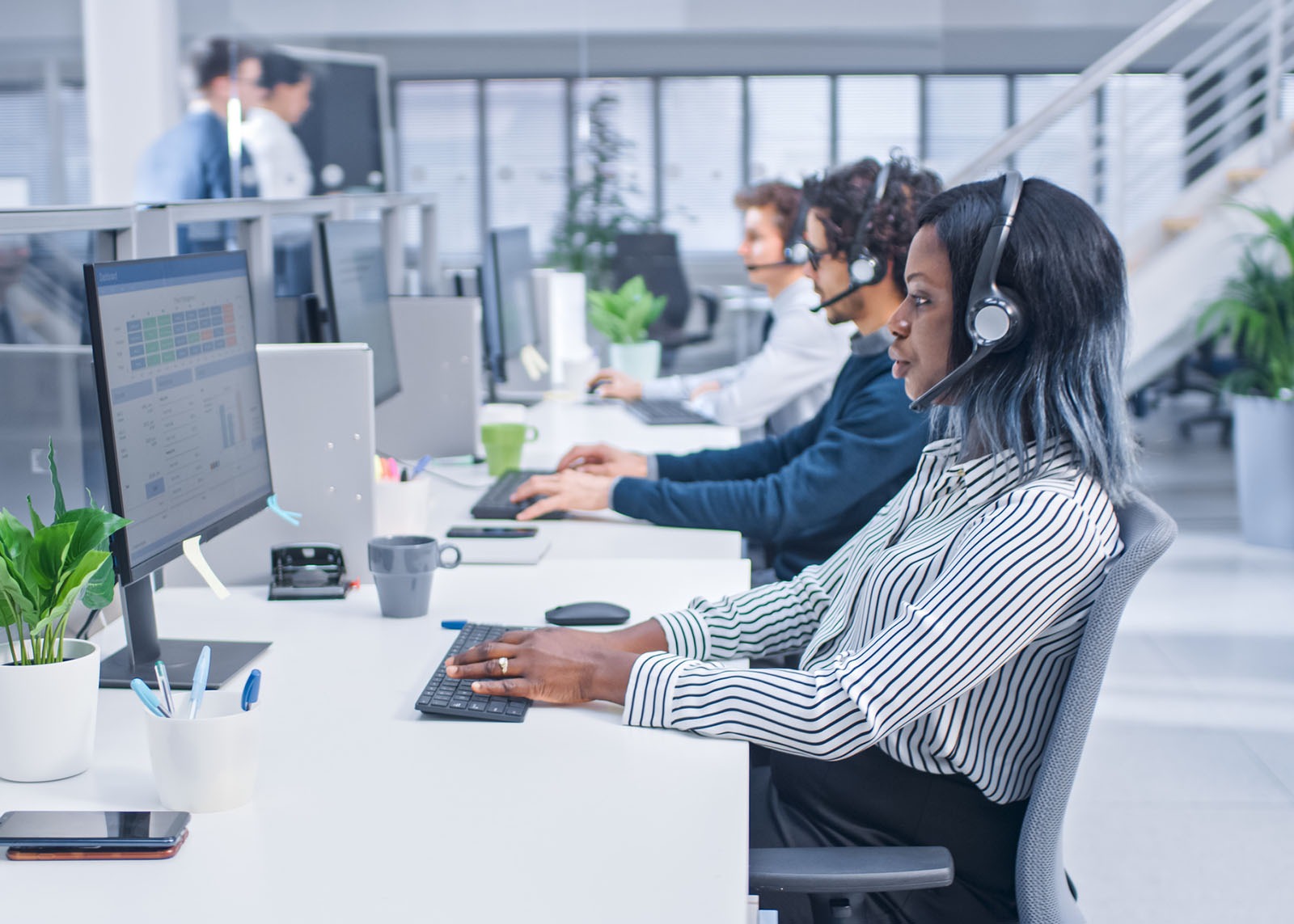 Software Development